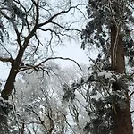Haus Theda Chalet