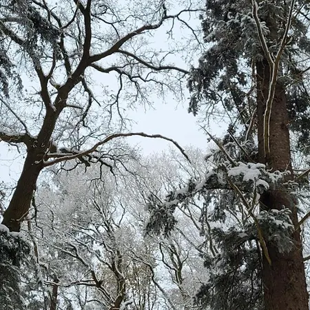 Haus Theda Chalet