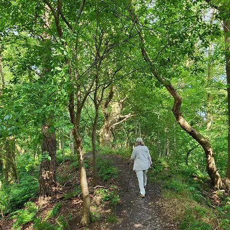 Haus Theda Шале Fockbek