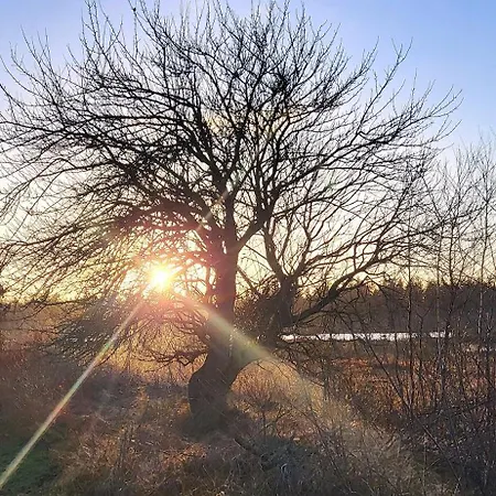 Haus Theda * Fockbek