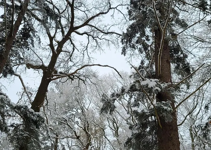 Haus Theda Alpehytte