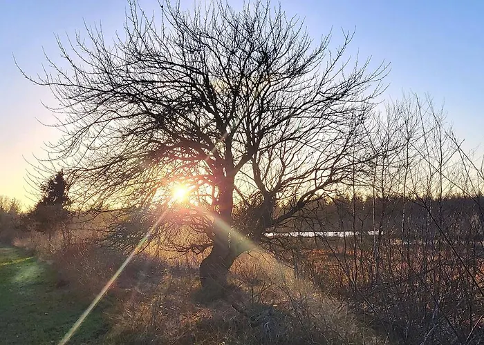 Haus Theda * Fockbek